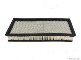 1999 Ford F-450 Super Duty Air Percolate Npn Ford Air Filter W0133-1842905 99