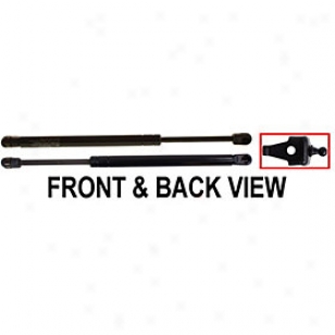 2000-2004 Toyota Avalon Lift Support Replacement Toyota Lift Support T13101 00 01 02 03 04