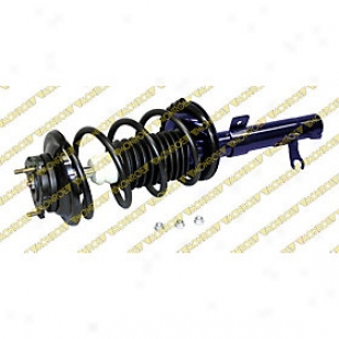 2000-2005 Ford Point of concentration Shock Absorber And Strut Assembly Monroe Forc Shock Absorber And Strut Assembly 181504 00 01 02 03 04 05