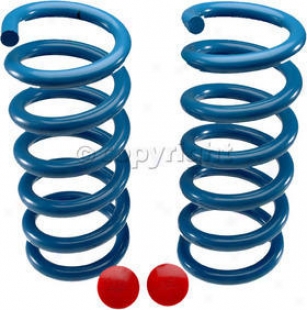 2002-2005 Dodge Aries 1500 Cloudy Springs Djm Suspension Dodge Lowering Springs Cs23922 02 03 04 05