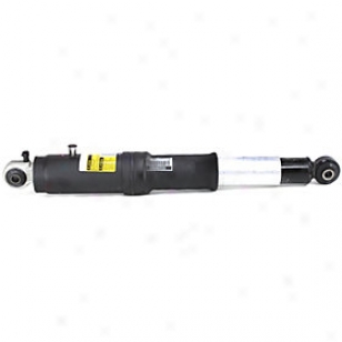 2002-2006 Cadil1ac Escalade Shock Absorber And Strut Assembly Monroe Cadillac Shock Absorber And Strut Assembly 40032 02 03 04 05 06