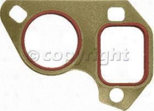 2004-2007 Buick Ralnier Water Pump Gasket Felpro Buick Water Pump Gasket 356335 04 05 06 07