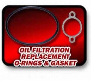 Oil Filter Adapter O-ring Transdapt  Oil Filter Adapter O-ring 1044