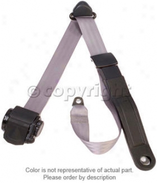 Seat Belt Beams  Seat Belt Wsch511p-44 Navy