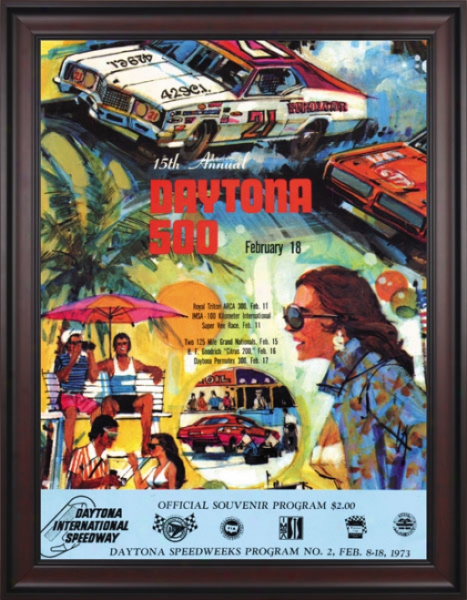 15th Annual 1973 Daytona 500 Framed 36 X 48 Program Stamp