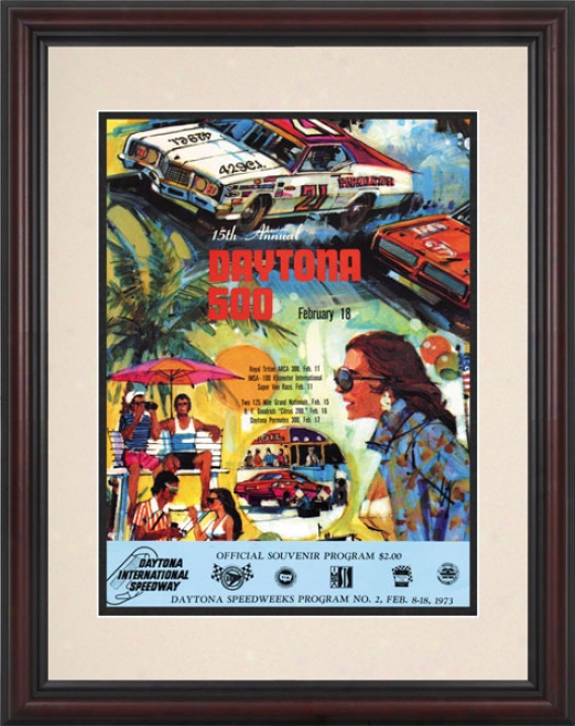 15th Annual 1973 Daytona 500 Framed 8.5  X 11 Program Print