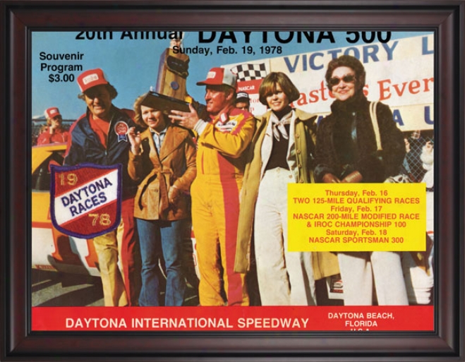 20th Annual 1978 Daytona 500 Framed 36 X 48 Program Print