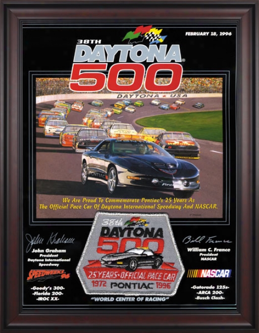 38th Annual 1996 Daytona 500 Framed 36 X 48 Program Stamp