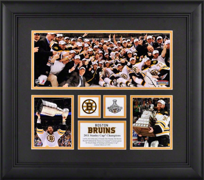 Boston Bruins Fraked 3-photo 2010-2011 Stanley Draught Champions Mini Panoramic Collage