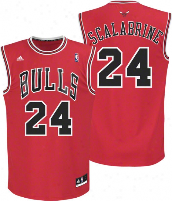 Brian Scalabrine Jersey: Adidas Red Replica #24 Chicago Bulls Jersey