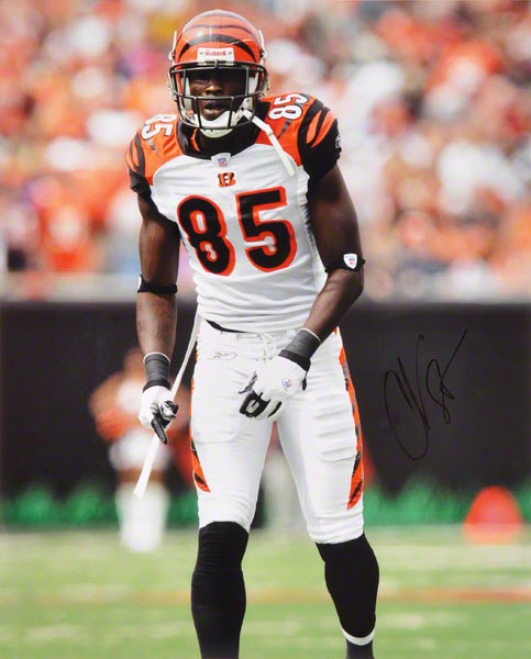 Chad Johnson Cincinnati Bengals 16x20 Autographed Photograph