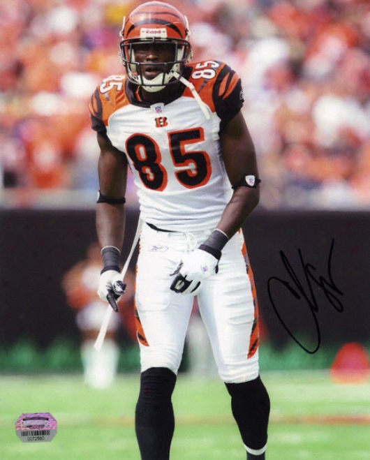 Chad Johnson Cincinnati Bengals -pose- 8x10 Autographed Photograph