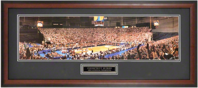 Connecticut Huskies - 1999 Ncaa Public Champions - Framed Unsigned Panoramic Photograph