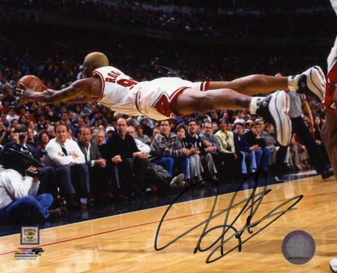 Dennis Rodman Autographed 8x10 Photograph  Particulars: Chicago Bulls, Divlng For Ball