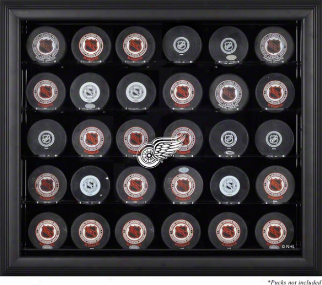 Detroit Red Wings Framed 30 Hockkey Pucm Logo Display Case