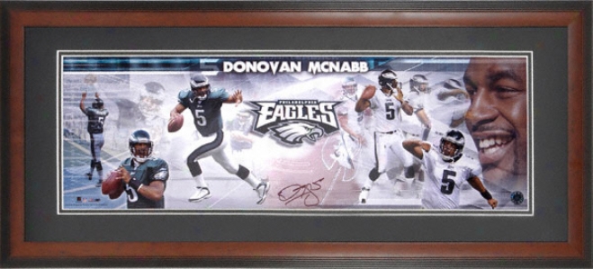 Donovan Mcnabb Philadelphia Eagles Framed Unsigned Panoramic Photograph