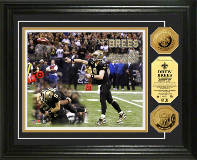 Drew Brees New Orleans Saints Single Season Passing Record Photo Mint