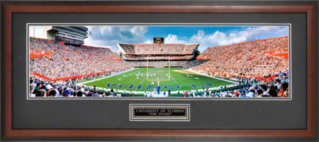 Florida Gators Ben Hill Griffin Stadium Vs Auburn Tigers Framed Unsigned Panoramic Photo