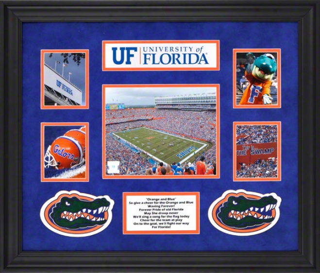 Florida Gators Framed 5-photograph Collage