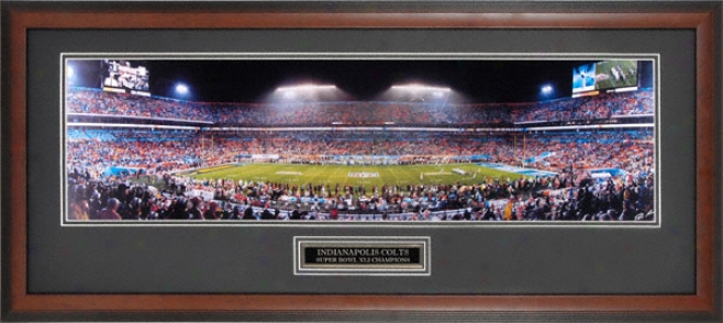 Indianapolis Colts - Super Bowl Xli Champions - Framed Unsigned Panoramic