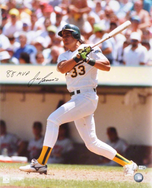 Jose Canseco Autographed Photograph  Details: 16x20, Oakland Athletics