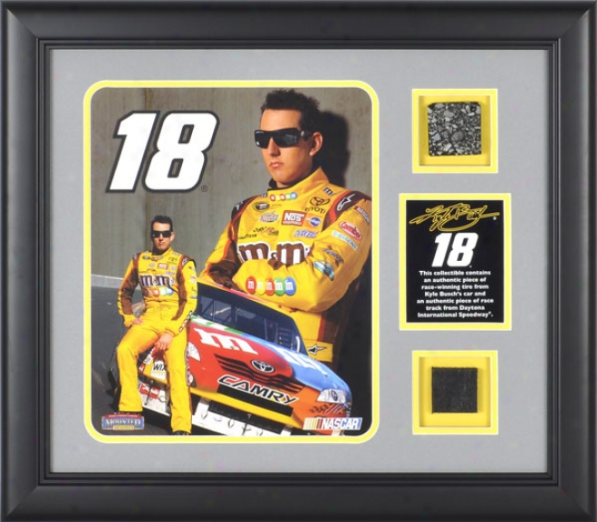 Kyle Busch Framed 8x10 Photograph With Progeny Used Tire, Plate And Dautona International Speedway Track