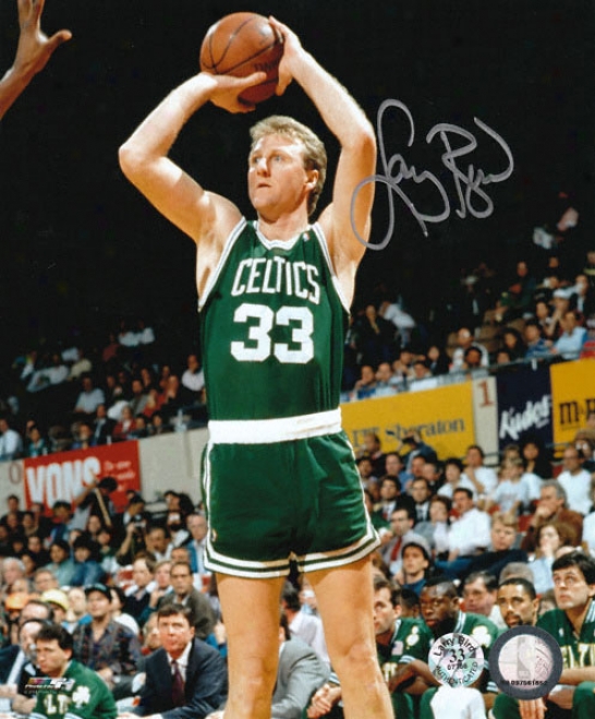 Larry Bird Boston Celtics - Shooting - 8x10 Auographed Photograph