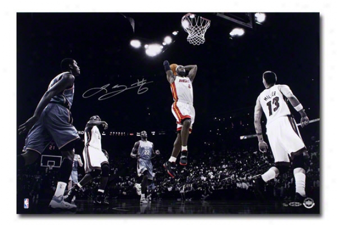 Lebron James Miami Heat Unframed Autographed Colors Of The Game 16&quotx24&quot Photograph