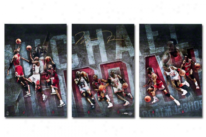 Michael Jordan Autographed Canvas Display