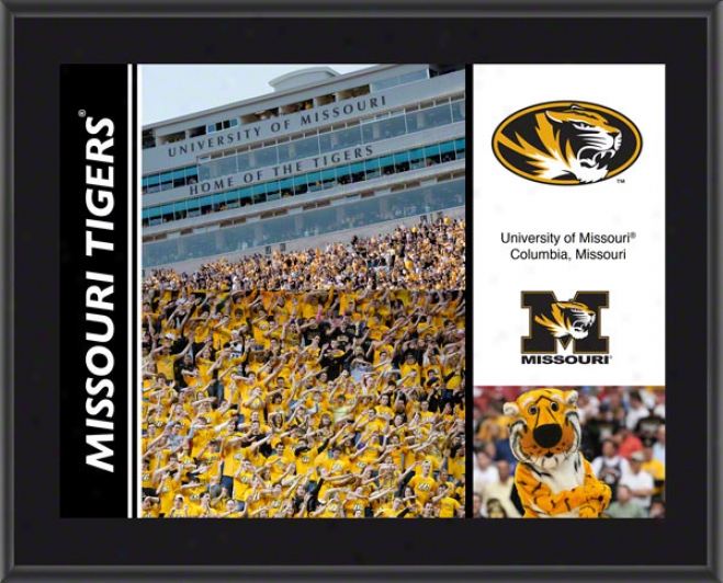 Missouri Tigers Sublimated 10x133 Flat plate of metal