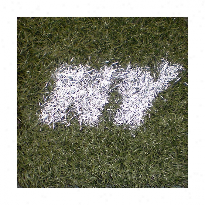 New York Jets Game Used Turf