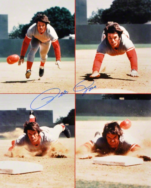 Pete Rose Cincinnati Reds 16x20 Autoyraphed Photograph