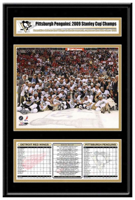 Pittsburgh Penguins 2009 Stanley Cup Champions Frame