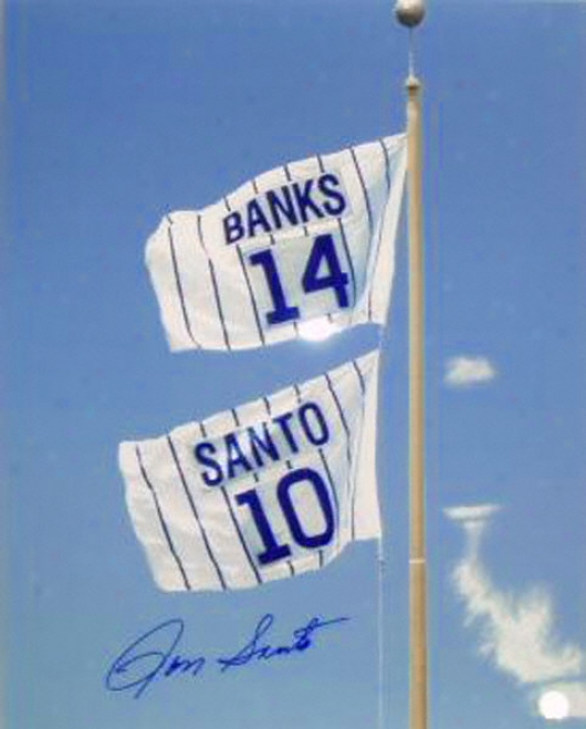 Ron Santo Chicago Cubs Autographed 16x20 Retired Number Flag Photo