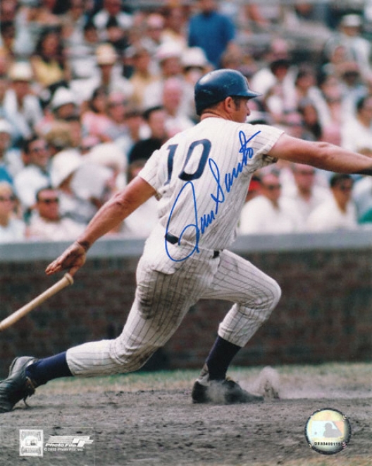 Ron Santo Chicago Cubs Autographed 8x10 Swinging Photo
