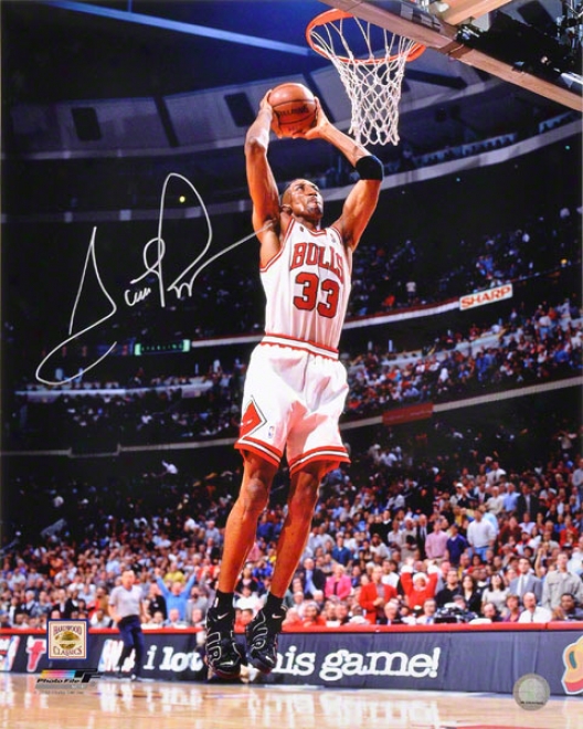 Scottie Pippen Autographed Photograph  Details: 16x20, Chicago Bulls