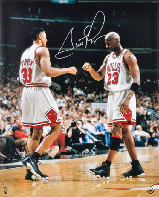 Scottie Pippen Autographed Photograph  Details: Chicago Bulls, 16x20