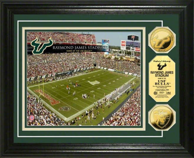 South Florida Bulls Raymond James Stadium 24kt Gold Coin Photo Mint