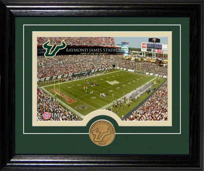 South Florida Bulls Raymond James Stadium Desktop Photograph