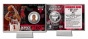 Derrick Rose Chicago Bulls: Nba Mvp Silver Convert  Card