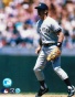 Steve Sax Nrw York Yankees Autographed 8x10 Photo In The Field