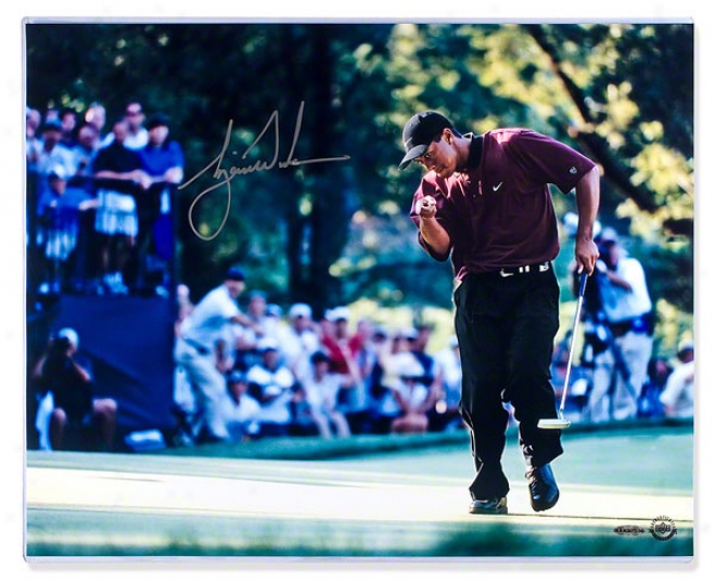 Tiger Woods Autographed 2000 Pga Championship 16x20 Photograph