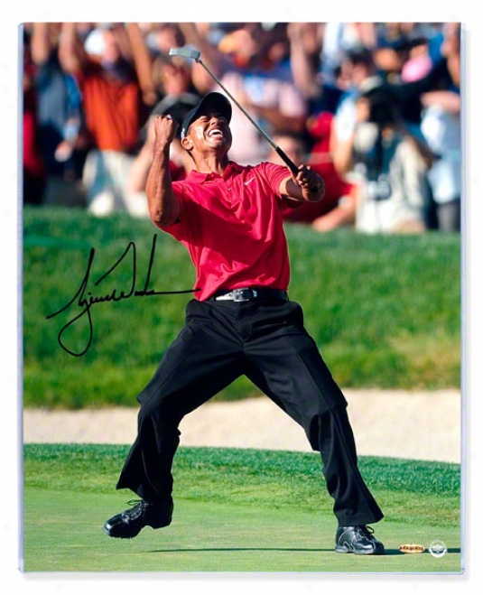 Tiger Woods Autographed 2008 Us Open 16x20 Celebration Photograph