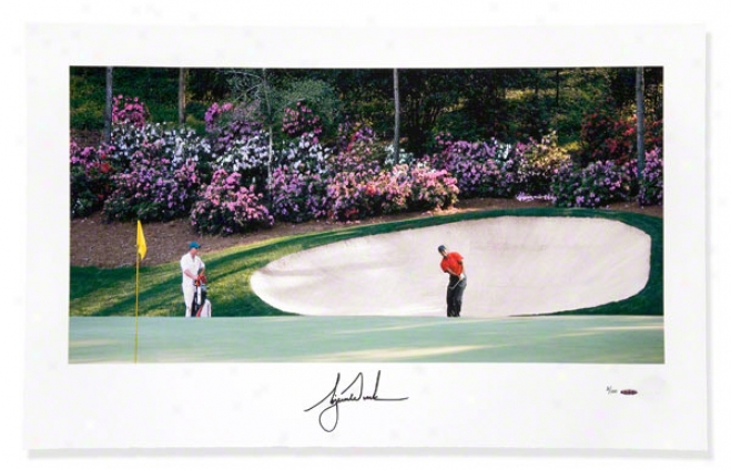 Tiger Woods Autographed Azalea #13 40x25 Panoramic Photograph