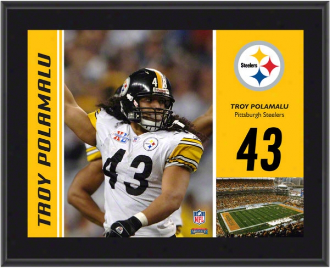 Troy Polamalu Plaque  Details: Pittsburgh Steelers, Sublimated, 10x13, Nfl Brooch