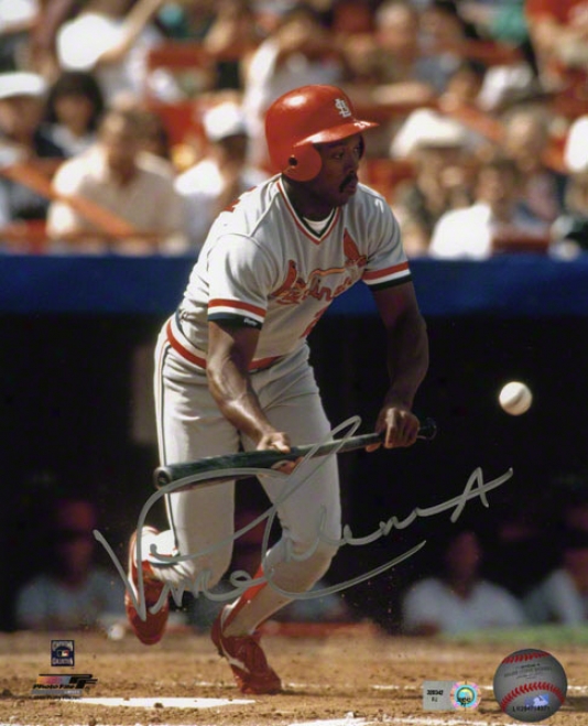 Vince Coleman Autographed Photograph  Details: St. Louis Cardinals, 8x10