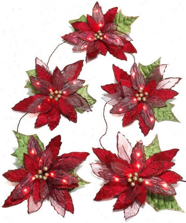 6' Pre-lit Poinsettia Garland - 6', Red