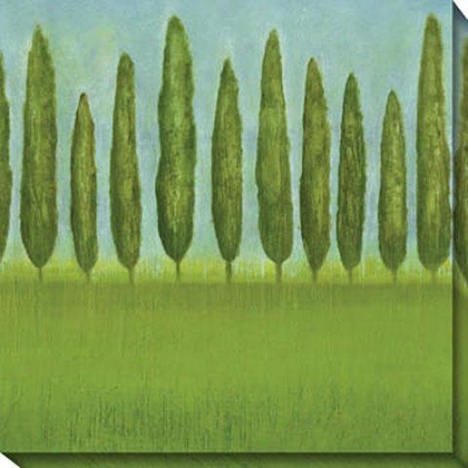 Afternoon Deilght Ii Canvas Wall Art - Ii, Green