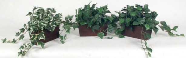 Assorted Leaves In Wooden Planters - Set Of 3 - Set Of 3, Green