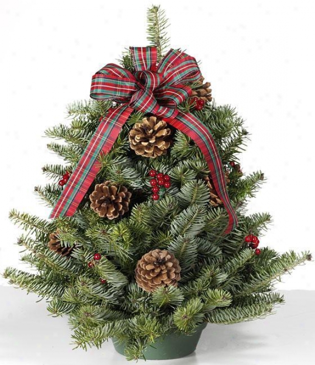 "balsam Tabletop Tree - 18"", Green"